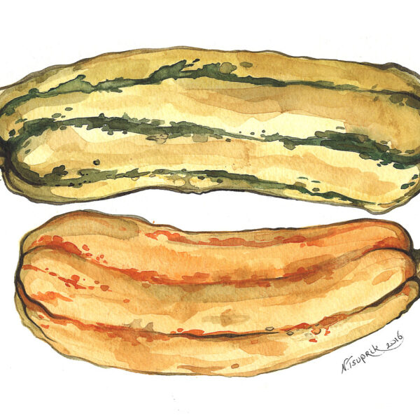 Squash