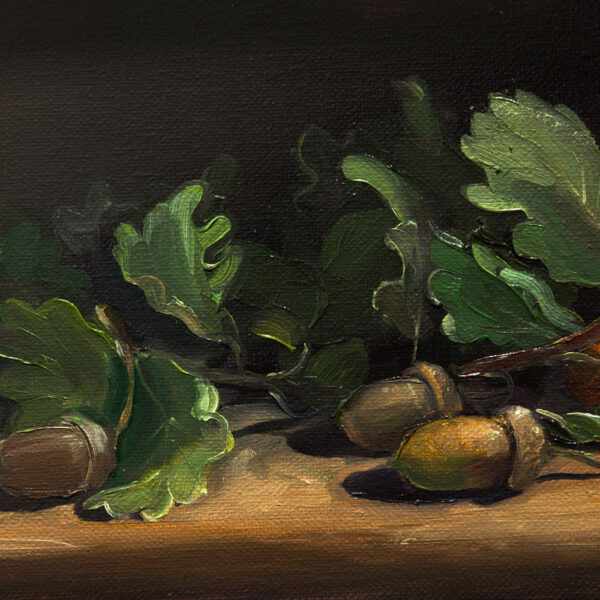 Acorns