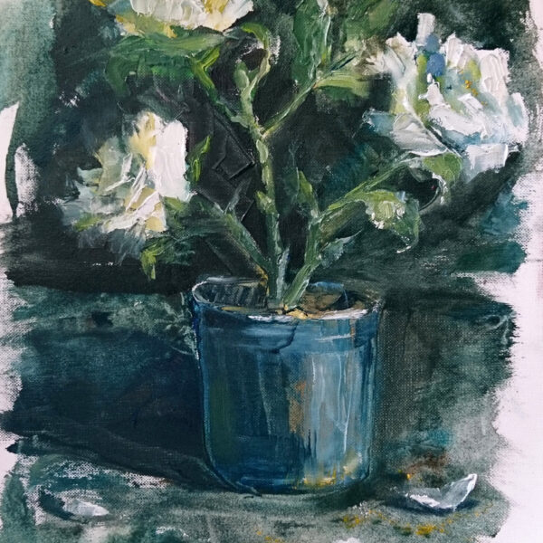 White roses